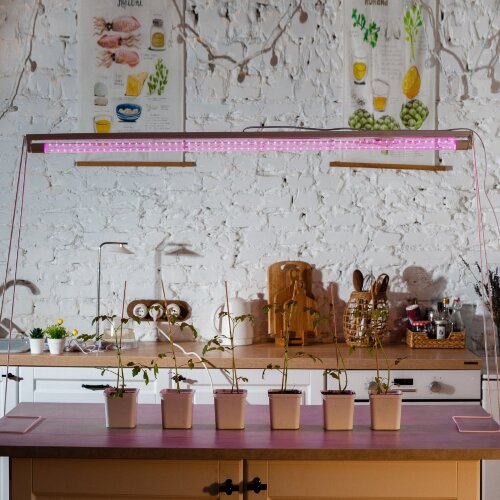 LED-T8-18W-SPSB-G13-CL PLP30WH Лампа светодиодная для растений, Форма T8, прозрачная, Спектр для рассады и цветения. - фото 6