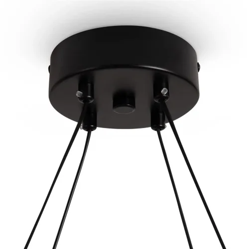 Подвесной светильник Freya FR6180PL-L32B (Черный) - фото 2