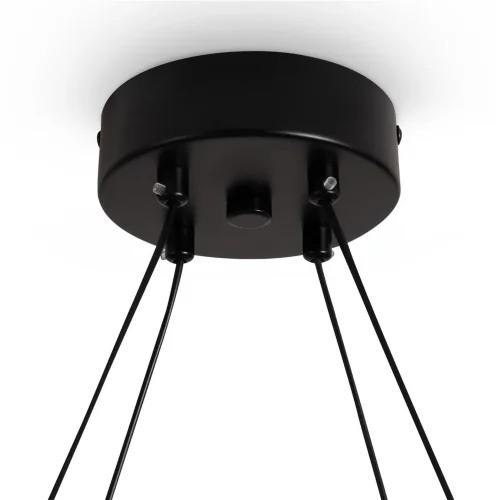 Подвесной светильник Воротник / Collar (Черный) FR6180PL-L32B - фото 2