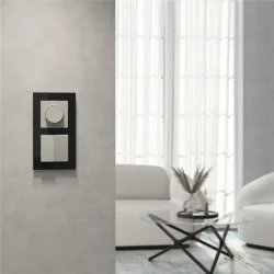 Выключатель двухклавишный (дымчатый) W1220004