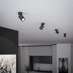 Светильник накладной поворотный Niro GU10 черный 25013/01 (065463)