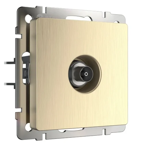 ТВ-розетка оконечная (шампань рифленый) W1183010 - фото