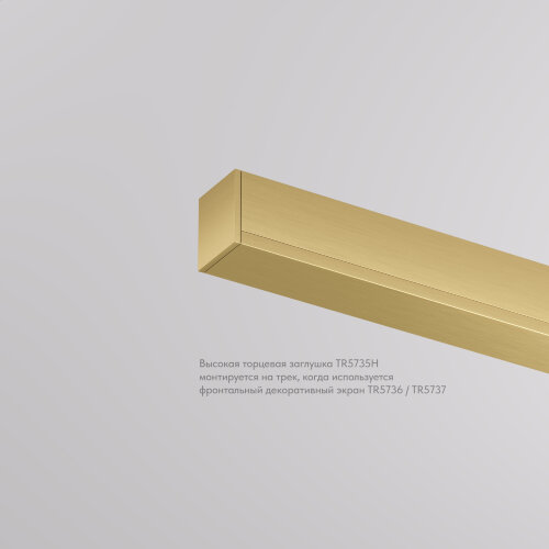 TR5735H-SB Торцевая заглушка, высокая, для использования с экраном, для трека Shine, серия Base, комплект 2 шт, сатинированная латунь, алюминий. Фото 2