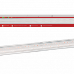 Светильник светодиодный СПБ-110 PRO-ФИТО полный спектр 55Вт 1200мм IP40 IN HOME