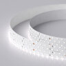 Светодиодная лента RT-A280-36mm 24V White6000 (30 W/m, IP20, 2835, 2.5m) (Arlight, Открытый) 019087(2) - фото
