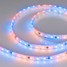 Светодиодная лента герметичная SPI-P-B60-12mm 12V RGB-PX3 (14.4W/m, IP66, 5060, 5m) (Arlight, бегущий огонь) 026365(3) - фото