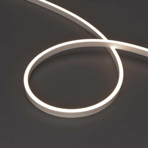 Светодиодная лента герметичная MOONLIGHT-SIDE-A120-06x12mm 24V Day4000 (9.6 W/m, IP65, 5m, wire x2) (Arlight, Вывод прямой, 3 года) 041034 - фото