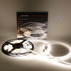 Светодиодная лента Class Premium, 3528, 120 led/m, Day White, 24V, IP33, А5