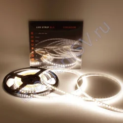 Светодиодная лента Class Premium, 2835, 120 led/m, warm white, 24V, IP33, A341