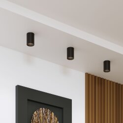 Накладной потолочный светильник 25011/01 (064290)