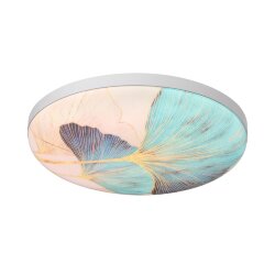 Настенно-потолочный светильник «Sonex» 7747/DL, серия: FLOREN (накладной) - -