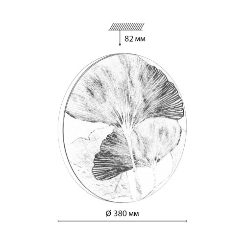 Настенно-потолочный светильник «Sonex» 7747/DL, серия: FLOREN (накладной). Фото 4.