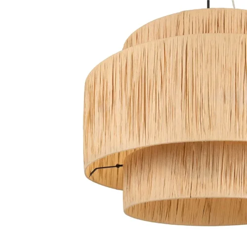 Подвесной светильник Freya FR5249PL-03BG (Черный) - фото 3