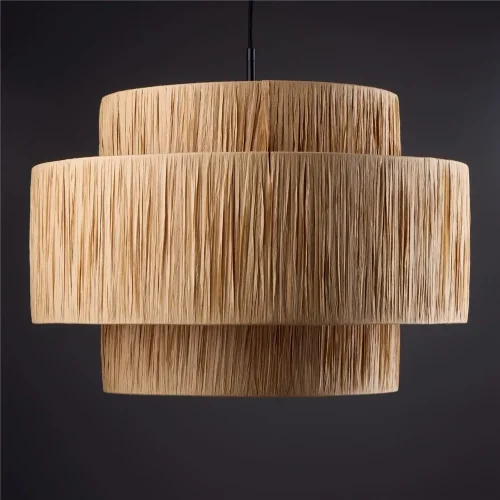 Подвесной светильник Freya FR5249PL-03BG (Черный) - фото 6