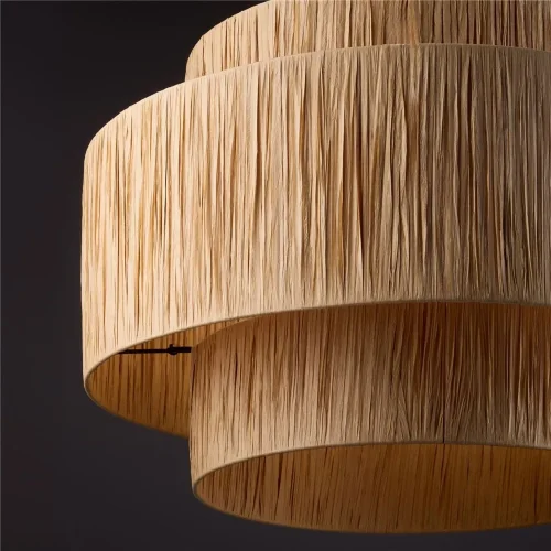 Подвесной светильник Freya FR5249PL-03BG (Черный) - фото 7