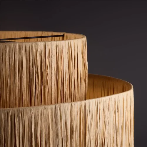 Подвесной светильник Freya FR5249PL-03BG (Черный) - фото 9