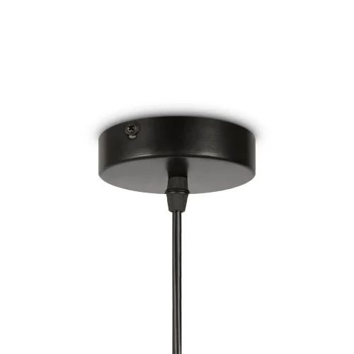 Подвесной светильник Freya FR5249PL-03BG (Черный) - фото 10