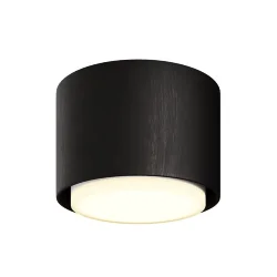 Потолочный светильник NUVOLT LDL-007BW (Черное дерево)