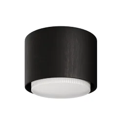 Потолочный светильник NUVOLT LDL-007BW (Черное дерево)