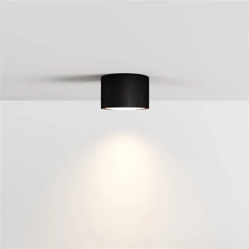 Потолочный светильник NUVOLT LDL-007BW (Черное дерево) - фото 4