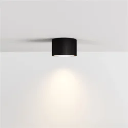 Потолочный светильник NUVOLT LDL-007BW (Черное дерево)