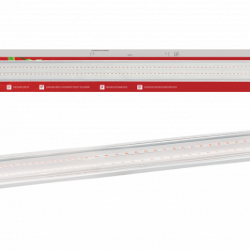 Светильник светодиодный СПБ-110 PRO-ФИТО полный спектр 75Вт 1200мм IP40 IN HOME