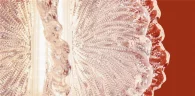 Подвесной светильник Цветок / Flower (Латунь) FR5579PL-L8BS - фото 9