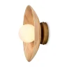 Настенный светильник (бра) Альберо / Albero (Латунь) FR5589WL-01T - фото 5