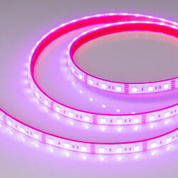 Светодиодная лента герметичная RTW-PFS-В60-13mm 12V RGB (14.4 W/m, IP68, 5060, 5m) (Arlight) 033790