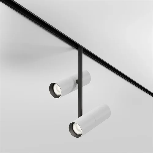 Трековый светильник Элти дуэт / Elti Duo Exility 2700-6000K 24Вт 36° Dim Smart (Черный) TR005-4-2X12W-DS-BW - фото 9