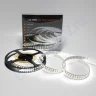 Светодиодная лента Class Premium, 3528, 240 led/m, White, 24V, IP33, А9 - фото.