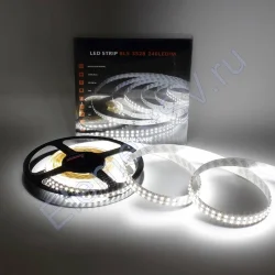 Светодиодная лента Class Premium, 3528, 240 led/m, White, 24V, IP33, А9