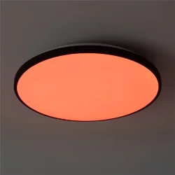 умный Потолочный светильник FR6211CL-L24B Обель / Obelle 24 Вт LED (Черный) FR6211CL-L24B
