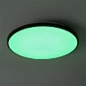 умный Потолочный светильник FR6211CL-L24B Обель / Obelle 24 Вт LED (Черный) FR6211CL-L24B - фото 10