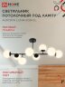 Люстра под лампу AURORA LUNA-8G9-BL 8xG9 матовые плафоны, черный корпус IN HOME - Фото 4