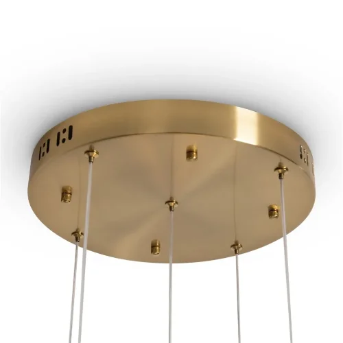 Подвесной светильник Цветок / Flower (Латунь) FR5579PL-L40BS - фото 5