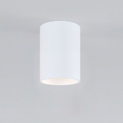 Накладной потолочный светильник 25011/01 (064288)