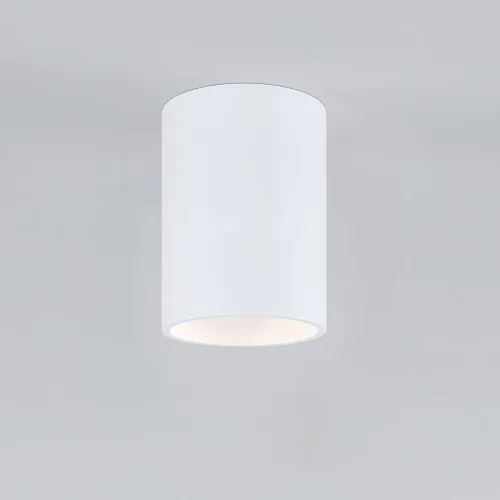 Накладной потолочный светильник 25011/01 - фото 2