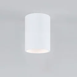 Накладной потолочный светильник 25011/01 (064288)