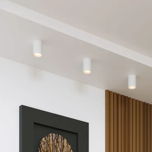 Накладной потолочный светильник 25011/01 - фото 3