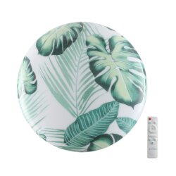 Настенно-потолочный светильник «Sonex» 7748/DL, серия: FLORI (накладной) - -