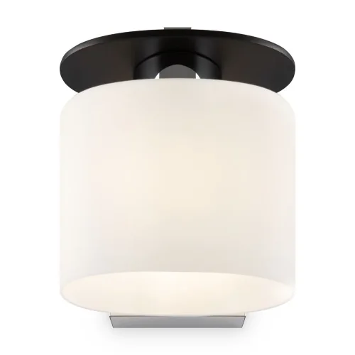 Светильники серии выполнены в современном стиле, арматура сделана из металла, а плафоны – из матового стекла. Благодаря своей небольшой высоте светильники Bice подходят для невысоких помещений. (Хром) - фото 9