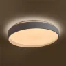 Потолочный светильник FR6222CL-L84W Пасс / Pass 84 Вт LED с пультом ДУ (Белый) FR6222CL-L84W - фото 4