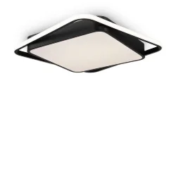 Потолочный светильник Freya FR10030CL-L88B (Черный)