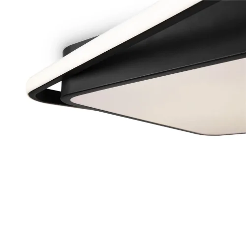 Потолочный светильник Freya FR10030CL-L88B (Черный) - фото 5