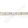 Светодиодная лента Standart class, 5050, 60led/m, Warm White, 12V, IP65 - фото 2.