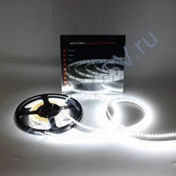 Светодиодная лента Class Premium, 2835, 120 led/m, white, 12V, IP33, A36