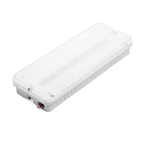 Аварийный светильник WOLTA PRO ОРИЕНТИР Мини ДБО03-3-051-6К с БАП EM3 3Вт 6500К IP65 Матовый - фото 1.