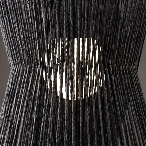 Подвесной светильник Freya FR5405PL-01B4 (Черный) - фото 6