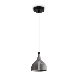 Подвесной светильник Терра / Terra (Графит) FR5582PL-01LG